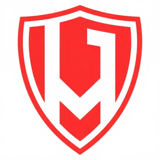 主队